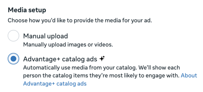 Advantage+ Catalog Ads